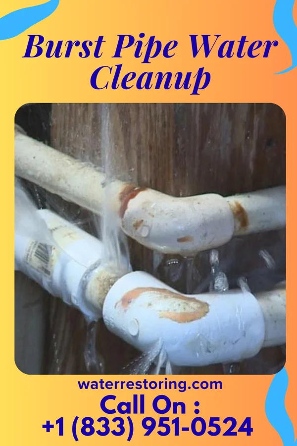 Burst Pipe Water Cleanup in Lusk, WY