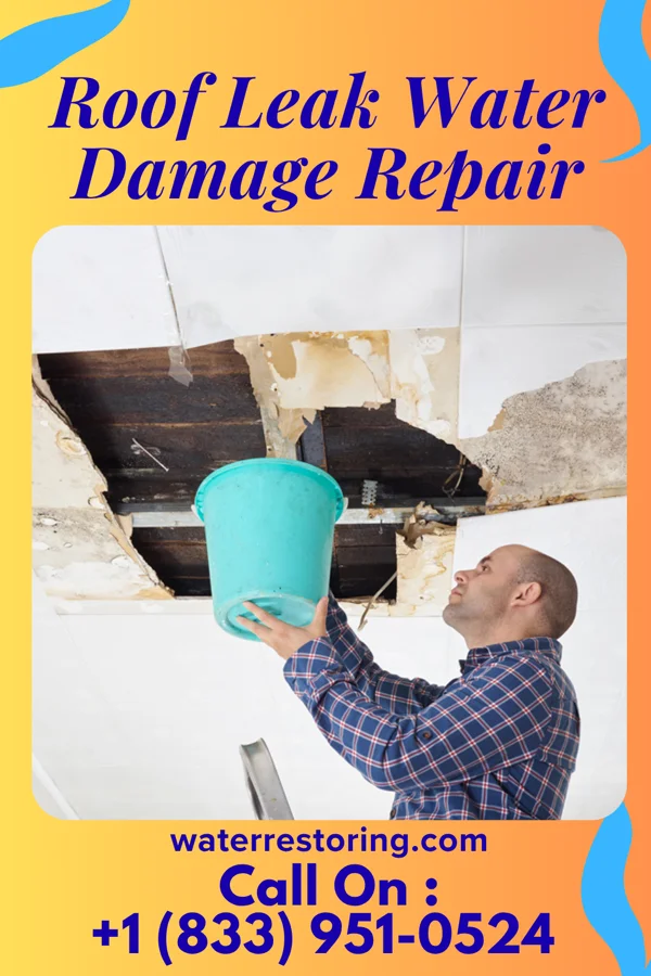 Roof Leak Water Damage Repair in Lusk, WY