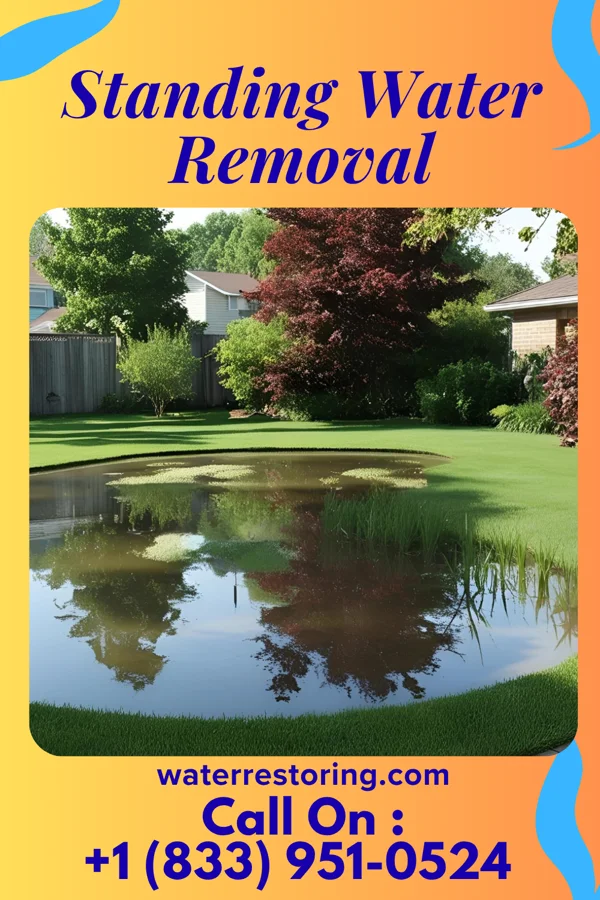 Standing Water Removal in Lusk, WY